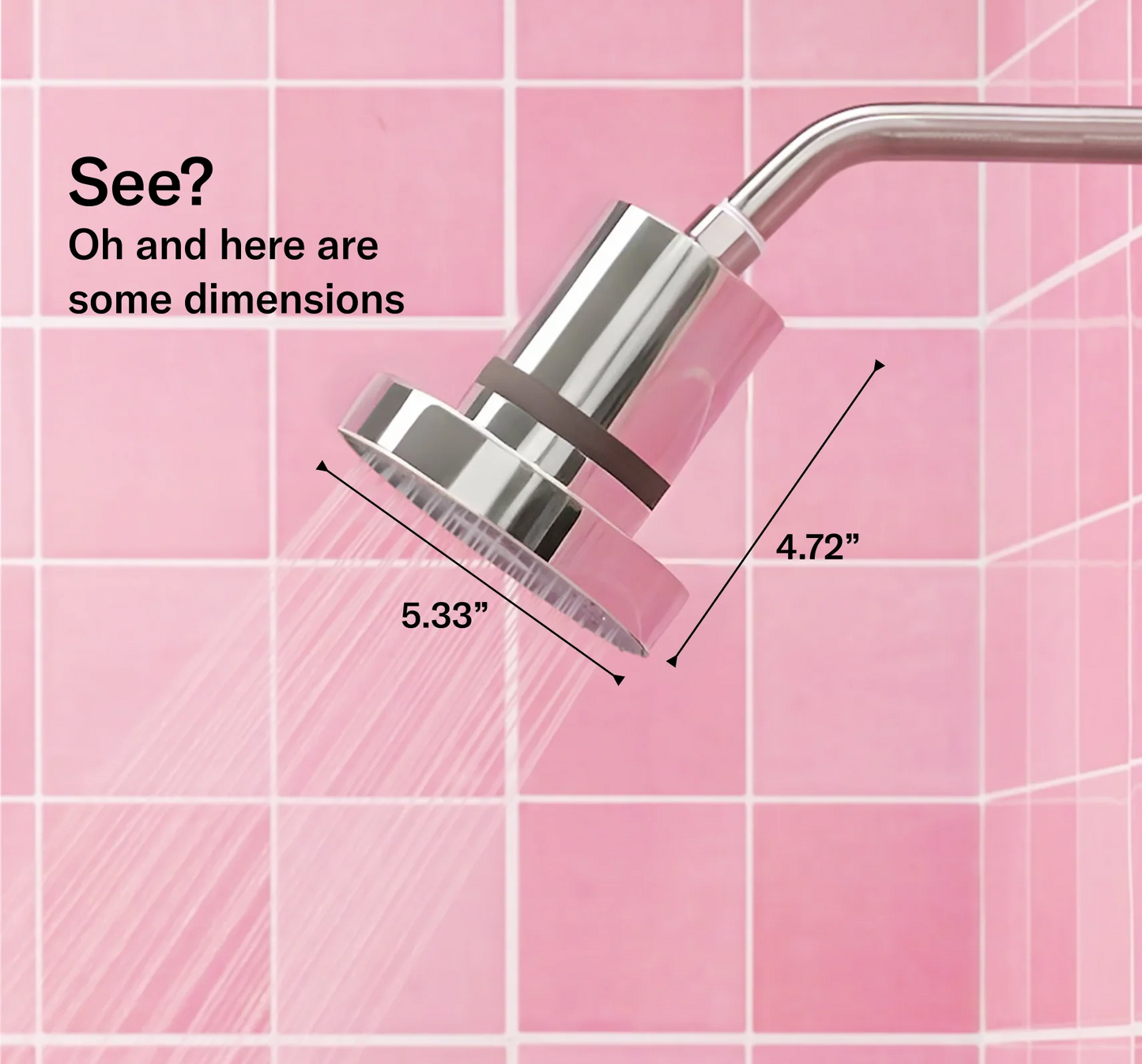 THE FILTERED SHOWERHEAD